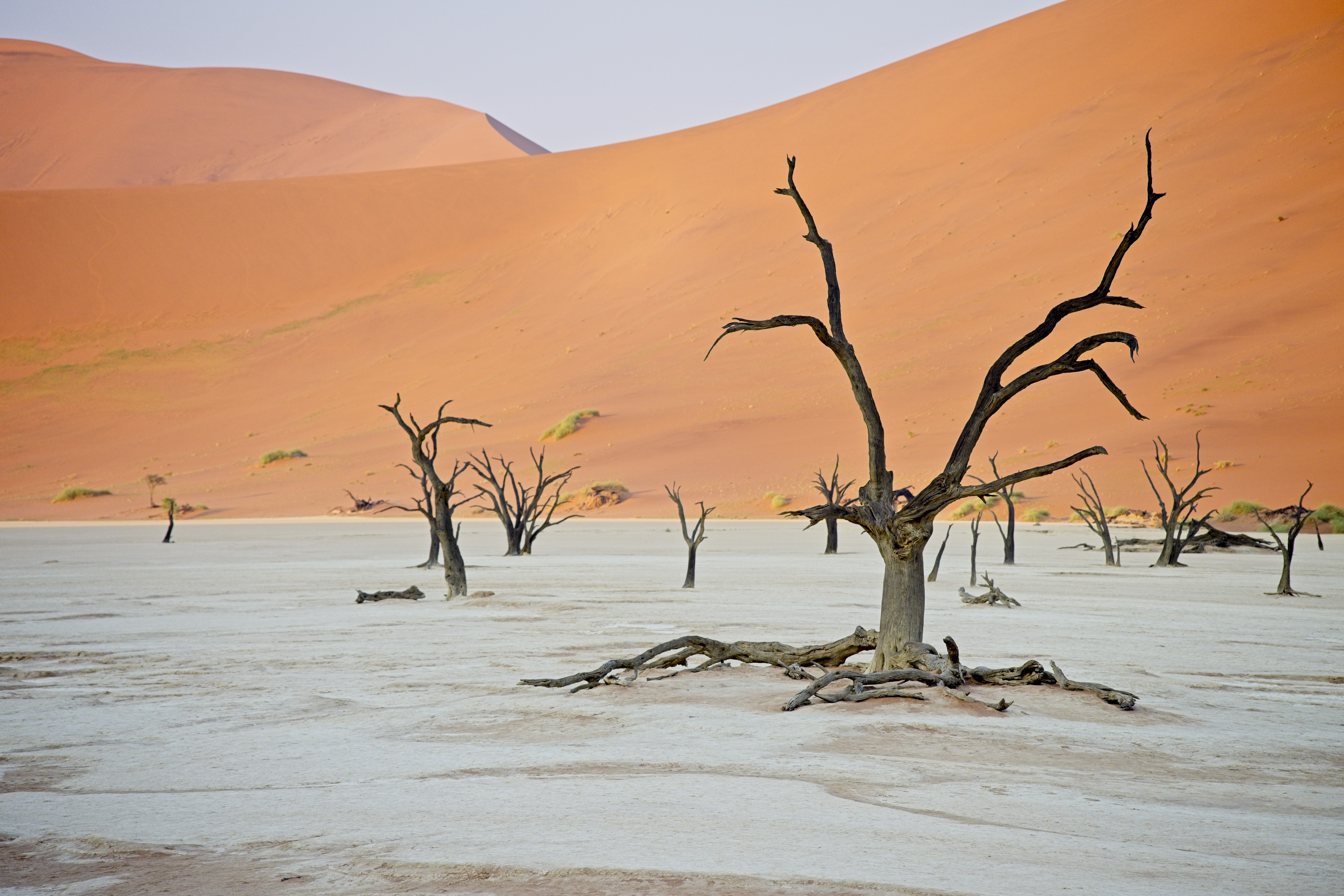 Deadvlei